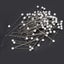 Loading Image 4 of 4