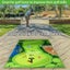 Golf Putting Chipping Hitting Mats Casual Game Set Family Party 2023175 Carousel 13