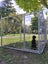 Dog Run / Pet Enclosure - 4.8m x 2.4m Temporary Fence Carousel 3
