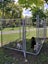 Dog Run / Pet Enclosure - 4.8m x 2.4m Temporary Fence Carousel 6