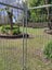 Dog Run / Pet Enclosure - 4.8m x 2.4m Temporary Fence Carousel 9