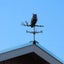 Weather Vane Owl Wind Vane Garden Ornament 2037323 Carousel 3