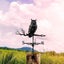 Weather Vane Owl Wind Vane Garden Ornament 2037323 Carousel 6
