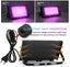 New UV Black Light on Afterpay Carousel 3