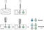 2 x Men Fertility Test kit - Men are you Fertile? Sperm count test kit Carousel 5