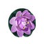 6pcs Artificial Floating Lotu Colorful Fake Water Lily for Garden Pond Fish Tank Carousel 8