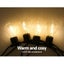 Jingle Jollys 50m LED Festoon String Lights 50 Bulbs Kit Wedding Party Christmas Carousel 4
