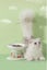 15-degree tilt Cat Ceramic Bowls Christmas Carousel 8