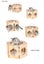 Cat Bed Oak Wood Cat House Cat Climbing Carousel 5