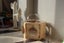 Cat Bed Oak Wood Cat House Cat Climbing Carousel 6
