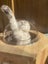 Cat Bed Oak Wood Cat House Cat Climbing Carousel 9
