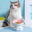 15-degree tilt Cat Ceramic Bowls Carousel 6