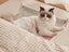 Adjustable Cat Window Perch Cat Hammock Hanging Cat Bed - Grey Pink Carousel 4