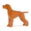 Loading Image 1 of 2