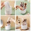 Makeup Brush Holder Desktop Cosmetic Organizer *Over Stocked* Carousel 14