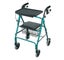 Super Stroller(R) Walker with Folding Tray Carousel 1