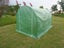 Tunnelhouse Greenhouse 3.5x2M Carousel 6