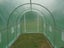 Tunnelhouse Greenhouse 3.5x2M Carousel 11