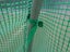 Tunnelhouse Greenhouse 3.5x2M Carousel 12