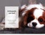 Pawz Pet Bed Foldable Dog Puppy Beds Cushion Pad Pads Soft Plush Black XXL Carousel 9