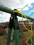PTN NEW Garden Netting Plant Netting 1.8m x 3.6m Sale Sale Carousel 7