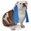 COOL PUP COOLING TOWEL Carousel 5