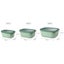 Mepal Cirqula Rectangular Multi Bowl Small 3 Piece Storage Set 3pc | Nordic Whit Carousel 7