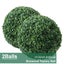 Artificial Topiary Ball Boxwood Outdoor Garden Decor *Local STOCK NOW* Carousel 4