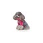 Sweater Two-Legged Pet Clothes Carousel 4
