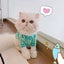 Autumn Winter Warm Sweater Cat and Dog Clothes Carousel 3