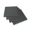 INTERLOCKING FLOOR MAT Carousel 1