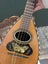 Antique/Vintage Bowl Round Back Wooden Mandolin In Butterfly Inlay Carousel 3