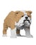 Loading Image 1 of 2
