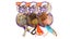 Hartz Roll About Mouse Catnip Cat Toy Carousel 1