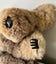 Vintage Koala (PING/AFTERPAY) Carousel 4