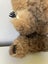 Vintage Koala (PING/AFTERPAY) Carousel 6