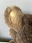 Vintage Koala (PING/AFTERPAY) Carousel 9