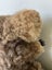 Vintage Koala (PING/AFTERPAY) Carousel 10