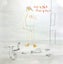 MARIKA HACKMAN - Any Human Friend - Acoustic Ep (Rsd2020) Carousel 1