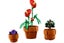LEGO Icons 10329 Tiny Plants+ Afterpay Carousel 5