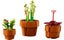 LEGO Icons 10329 Tiny Plants+ Afterpay Carousel 6