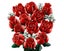 Lego Icons 10328 Bouquet of Roses + AfterPay Carousel 4