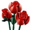 Lego Icons 10328 Bouquet of Roses + AfterPay Carousel 6