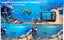 Underwater Cameras Carousel 5