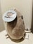 New Pusheen the Cat Medium Plush Toy - with Ice Cream Carousel 3
