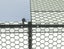 Outdoor Chicken Run - 300x200x200cm Carousel 5
