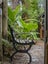 gallery view thumbnail