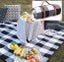 Picnic Blanket New Carousel 2