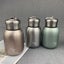 300ML Mini Coffee Vacuum Flasks Lovely Stainless Steel Thermos Portable (Silver) Carousel 3