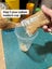 Flightless Fruit Fly Culture - one cup Carousel 4